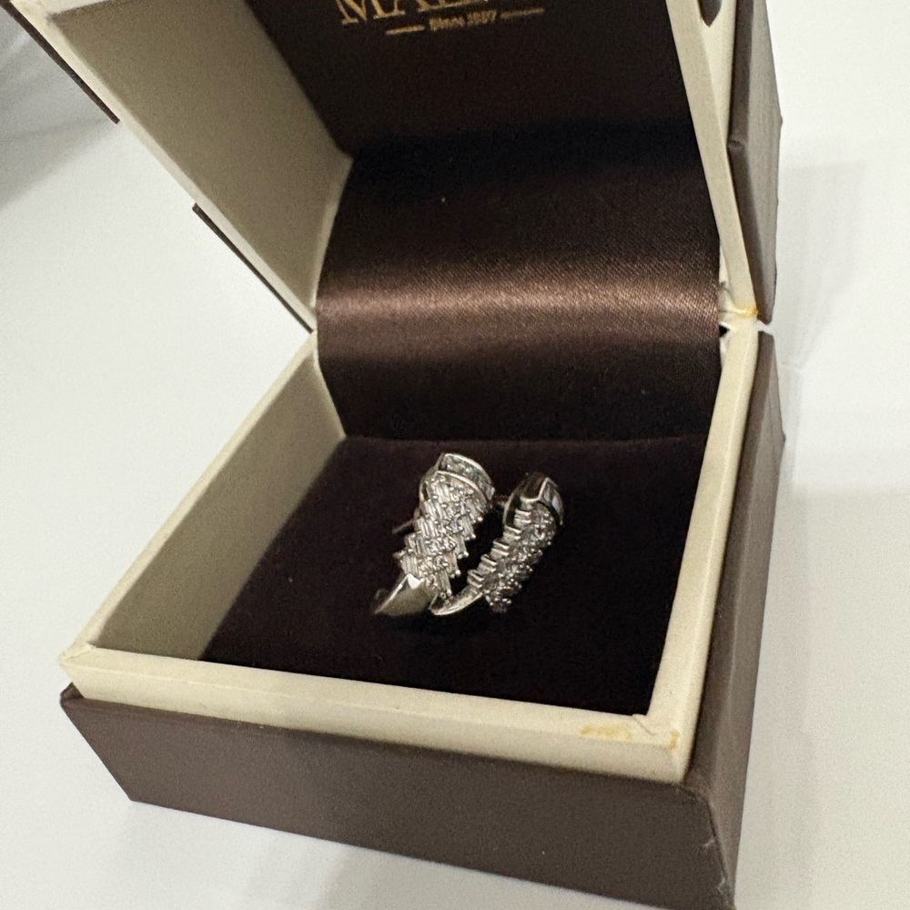 Elegant Silver Earrings